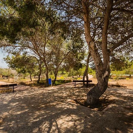 Apartament "Parque Mar" La Mata  Buitenkant foto