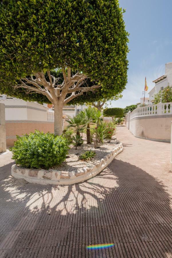 Apartament "Parque Mar" La Mata  Buitenkant foto